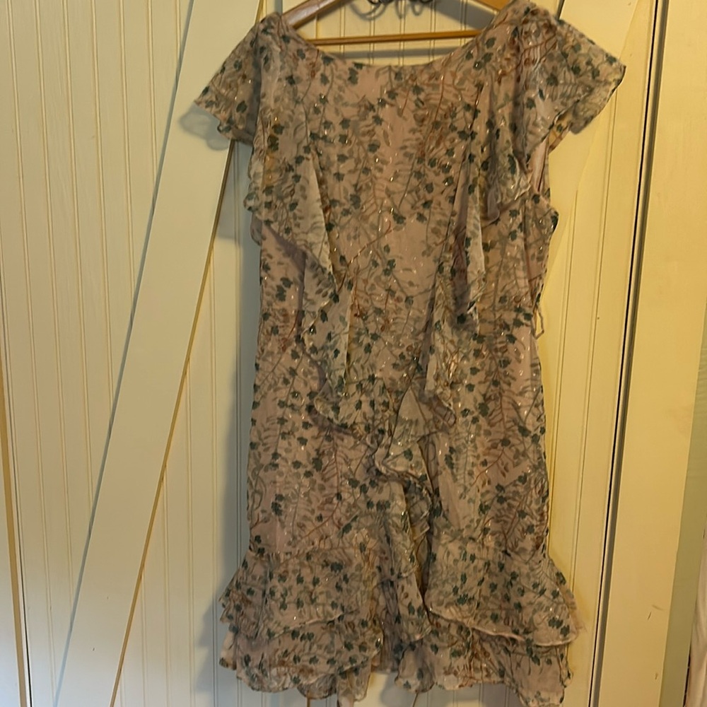 Dress Large NWT $138  Chelsea & Violet Pink Green Floral
